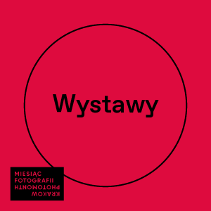 WebWystawy_PL
